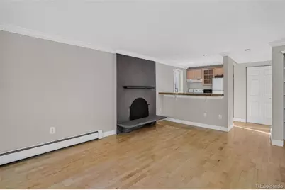 1125 N Washington Street #201, Denver, CO 80203 - Photo 5