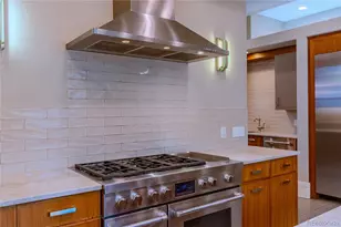 1745 N Emerson St, Denver, CO 80218 - Photo 11