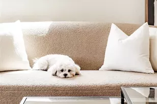 1973 Alton St, Aurora, CO 80010 - Photo 5