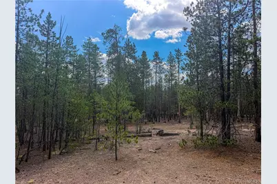 569 Birch Drive, Leadville, CO 80461 - Photo 1