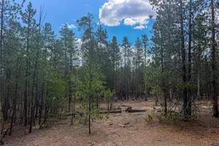 569 Birch Dr, Leadville, CO 80461 - Photo 1