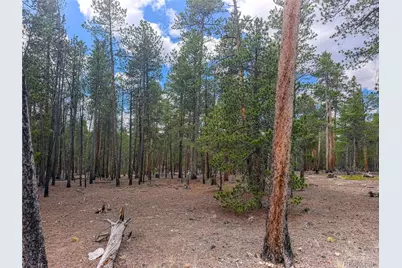 569 Birch Drive, Leadville, CO 80461 - Photo 3