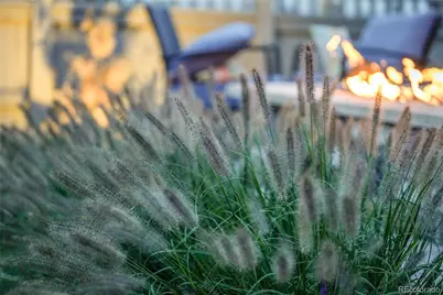 1589 Chestnut Avenue, Erie, CO 80516 - Photo 35