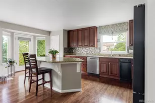 10231 Rustic Redwood Ln, Highlands Ranch, CO 80126 - Photo 11