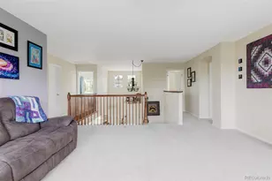 10231 Rustic Redwood Ln, Highlands Ranch, CO 80126 - Photo 15