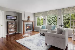 10231 Rustic Redwood Ln, Highlands Ranch, CO 80126 - Photo 7