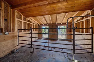 6929 Weasel Way, Evergreen, CO 80439 - Photo 23