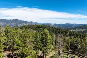 6929 Weasel Way, Evergreen, CO 80439 - Photo 31