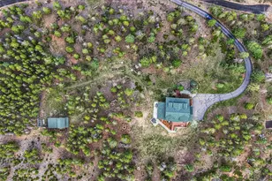 6929 Weasel Way, Evergreen, CO 80439 - Photo 7