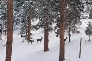 13892 Douglas Ranch Dr, Pine, CO 80470 - Photo 25