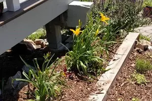 13892 Douglas Ranch Dr, Pine, CO 80470 - Photo 5