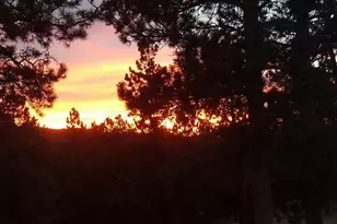 13892 Douglas Ranch Dr, Pine, CO 80470 - Photo 49