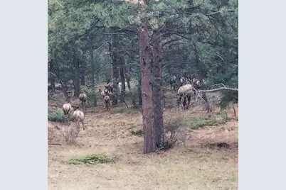 13892 Douglas Ranch Drive, Pine, CO 80470 - Photo 47