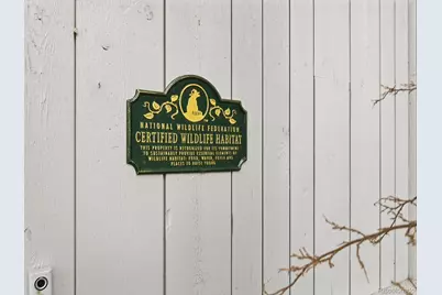 13892 Douglas Ranch Drive, Pine, CO 80470 - Photo 3