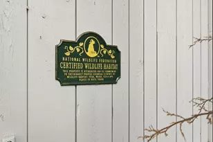 13892 Douglas Ranch Dr, Pine, CO 80470 - Photo 3