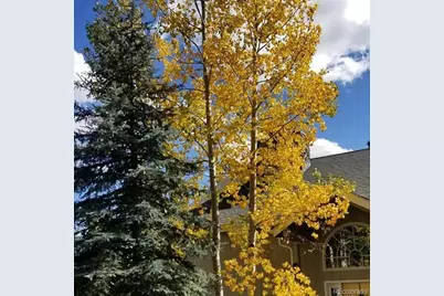 13892 Douglas Ranch Drive, Pine, CO 80470 - Photo 45