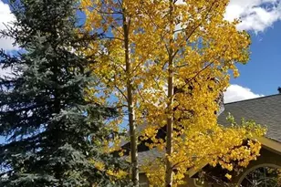 13892 Douglas Ranch Dr, Pine, CO 80470 - Photo 45