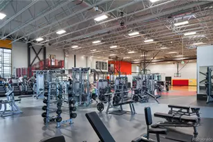 1284 Columbine St, Denver, CO 80206 - Photo 29