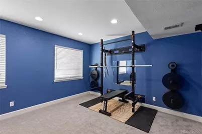 3050 Springbriar Drive, Castle Rock, CO 80109 - Photo 33