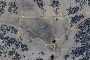 170 Badger Cir, Guffey, CO 80820 - Photo 1