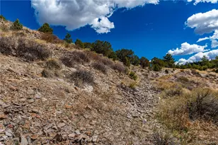 177 Bunker Hill Cir, Silver Cliff, CO 81252 - Photo 33