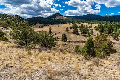 177 Bunker Hill Circle, Silver Cliff, CO 81252 - Photo 35