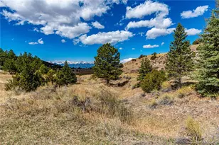 177 Bunker Hill Cir, Silver Cliff, CO 81252 - Photo 41