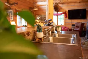 2150 Usfs Rd 521, Creede, CO 81130 - Photo 23