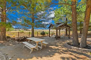 990 Glade Gulch Rd, Castle Rock, CO 80104 - Photo 43