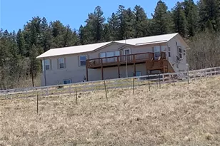 135 Navajo Trail, Hartsel, CO 80449 - Photo 3
