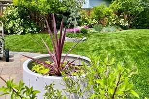 812 Poplar St, Denver, CO 80220 - Photo 31