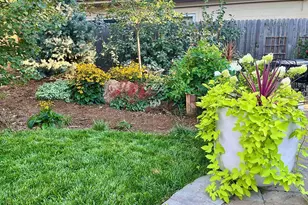 812 Poplar St, Denver, CO 80220 - Photo 33