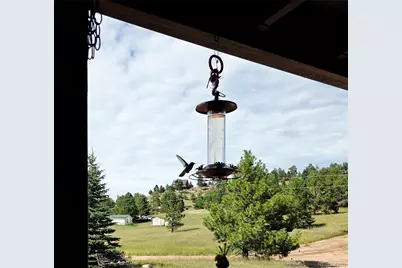 891 S Mountain Estates Road, Florissant, CO 80816 - Photo 9