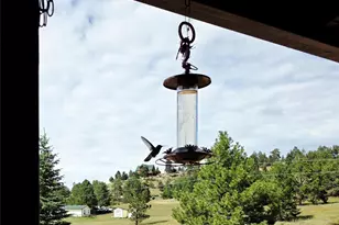 891 S Mountain Estates Rd, Florissant, CO 80816 - Photo 9