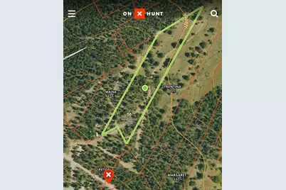 003 Church Placer Road, Central City, CO 80427 - Photo 17