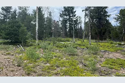 003 Church Placer Road, Central City, CO 80427 - Photo 13