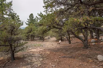 16090 Falcon Drive, Nathrop, CO 81236 - Photo 47