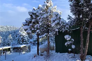 1209 Coyote Run, Cotopaxi, CO 81223 - Photo 47