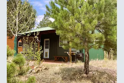 1209 Coyote Run, Cotopaxi, CO 81223 - Photo 17