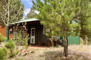 1209 Coyote Run, Cotopaxi, CO 81223 - Photo 17