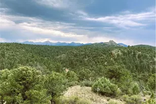 1209 Coyote Run, Cotopaxi, CO 81223 - Photo 31