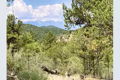 1209 Coyote Run, Cotopaxi, CO 81223 - Photo 19
