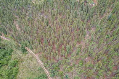 427 Wise Road, Bailey, CO 80421 - Photo 13