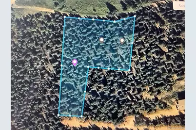 427 Wise Road, Bailey, CO 80421 - Photo 19