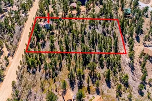 55 W Crosscut, Bailey, CO 80421 - Photo 43