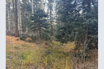 2662 Petito Drive, Fort Garland, CO 81133 - Photo 13