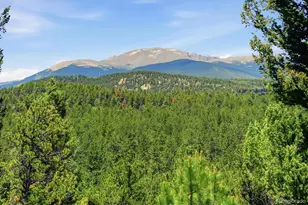 224 Hangman Rd, Bailey, CO 80421 - Photo 27