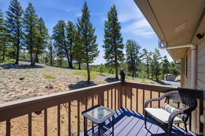 224 Hangman Road, Bailey, CO 80421 - Photo 19