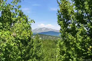 224 Hangman Rd, Bailey, CO 80421 - Photo 25