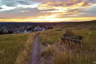 10632 Redvale Rd, Highlands Ranch, CO 80126 - Photo 49